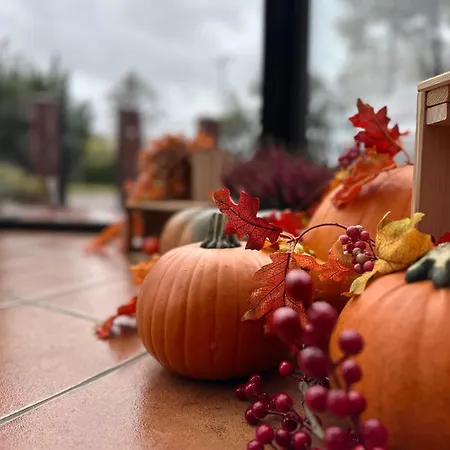 Akme & & Free Parking 3* Gdańsk