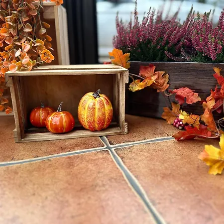 Akme & & Free Parking 3*