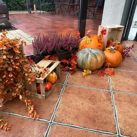 Akme & & Free Parking 3* Gdansk