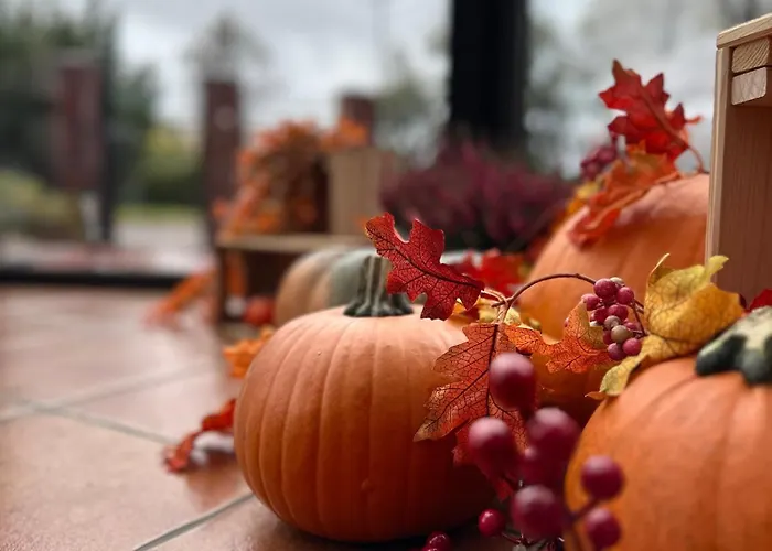 Akme & & Free Parking 3* 格但斯克